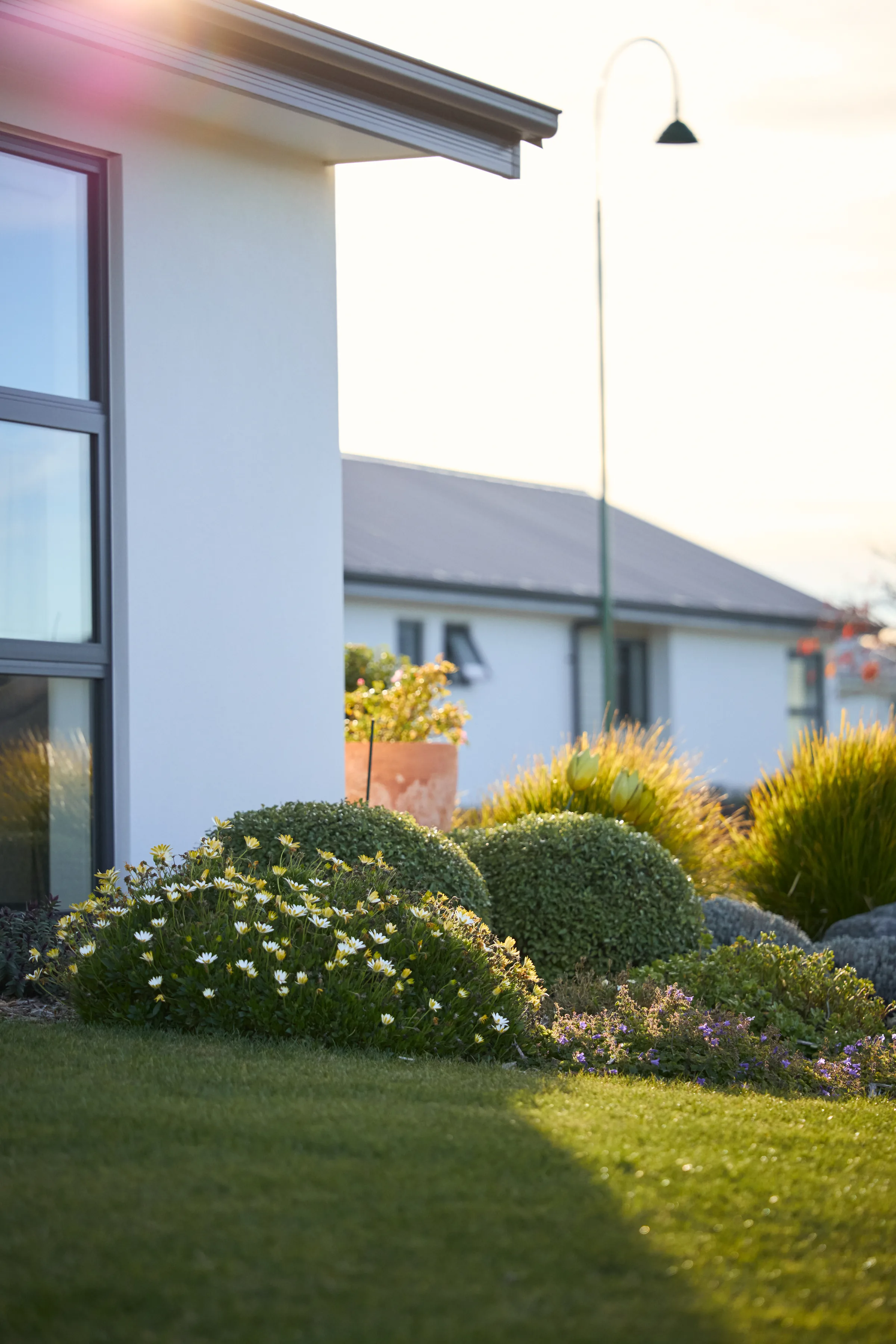 A home held soft behind a planted pot at dusk.