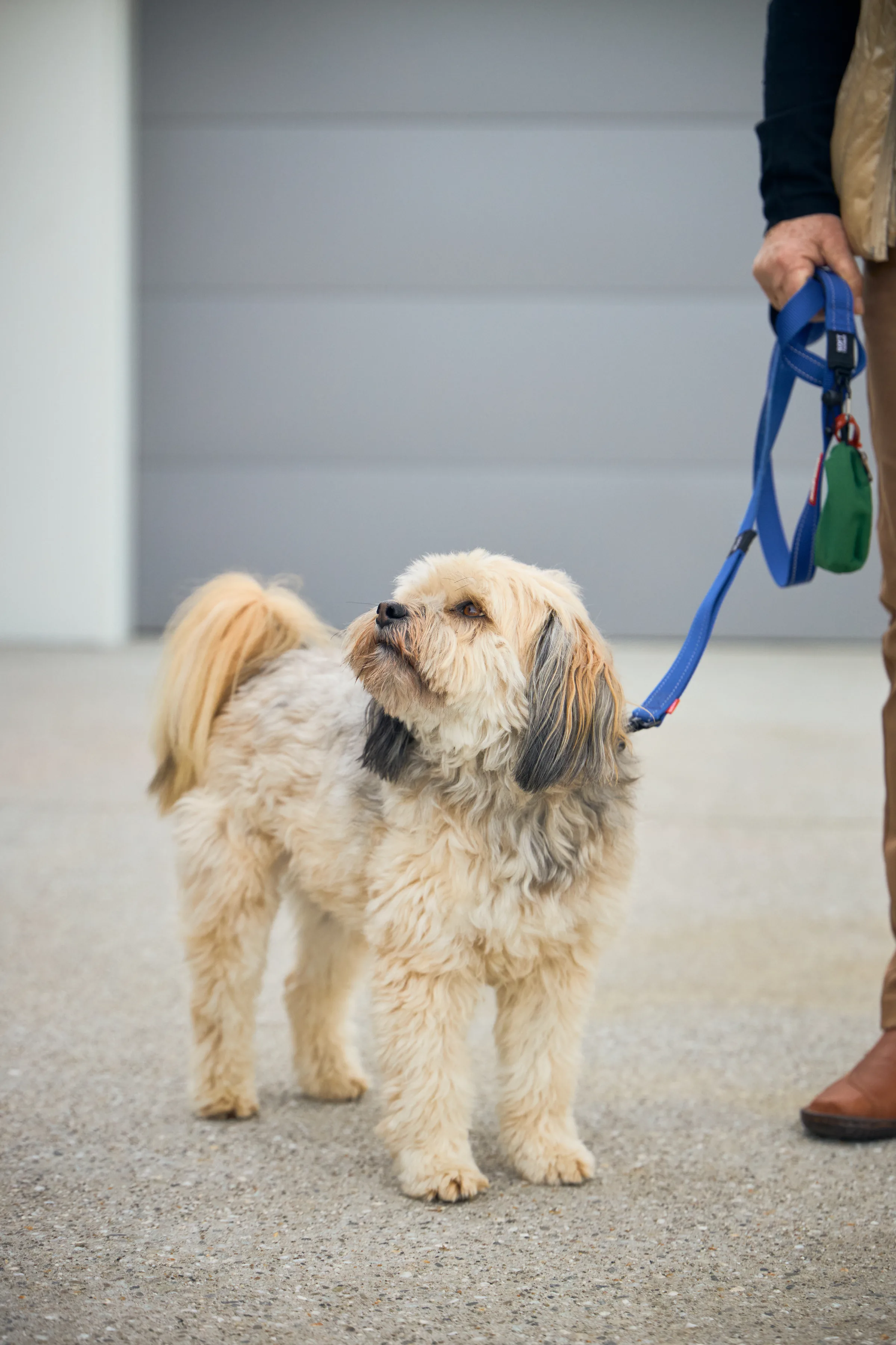 A dog on its lead, its owner's leg and boot in frame.