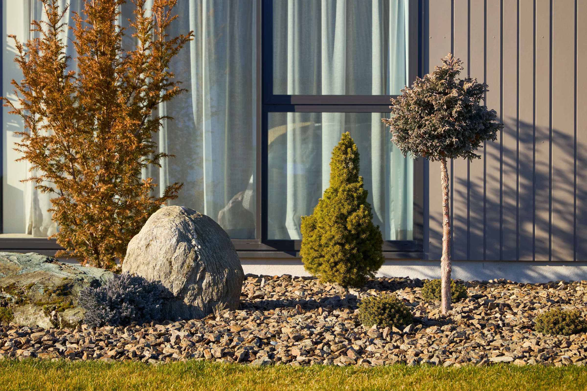 A schist boulder and a young larch set against a window reveal.