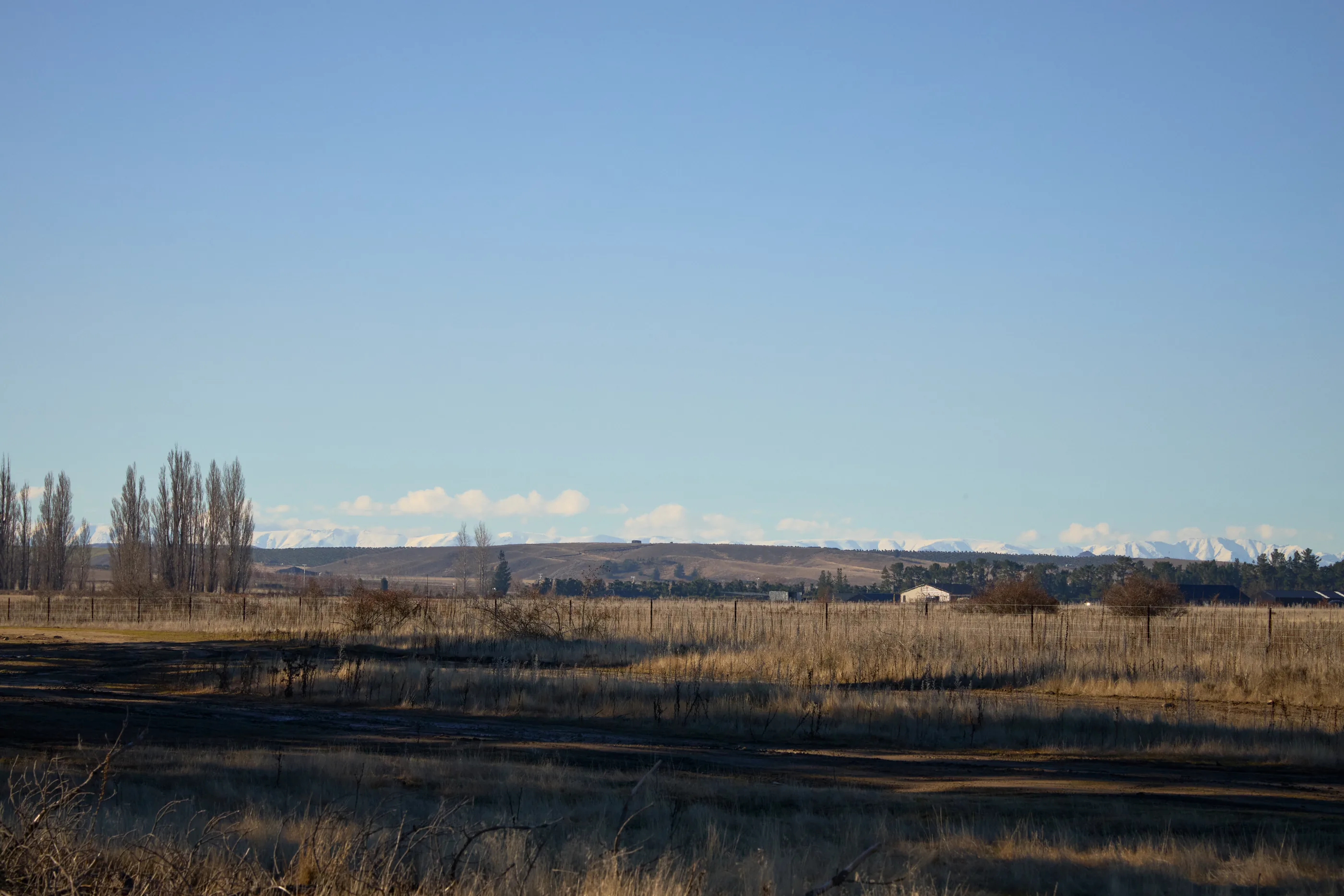 An open paddock of dry winter grass behind a wire fence, with poplars to one side, low brown hills beyond and a snow-covered range along the horizon.